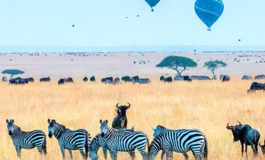 4 Day Hot Air Balloon Safari Experience in Masai Mara