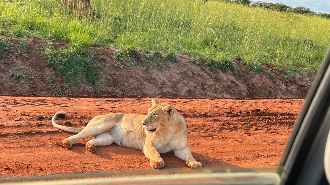 safari activties in Murchision falls National Park